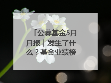 公募基金5月月报｜发生了什么？基金业绩榜变化这么大！
