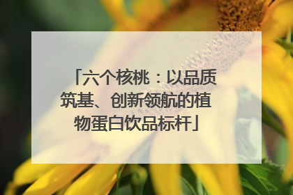 六个核桃：以品质筑基、创新领航的植物蛋白饮品标杆