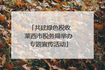 共建绿色税收 莱西市税务局举办专题宣传活动