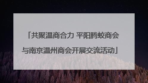 共聚温商合力 平阳腾蛟商会与南京温州商会开展交流活动
