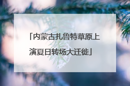 内蒙古扎鲁特草原上演夏日转场大迁徙