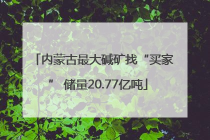 内蒙古最大碱矿找“买家” 储量20.77亿吨