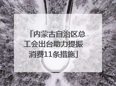 内蒙古自治区总工会出台助力提振消费11条措施
