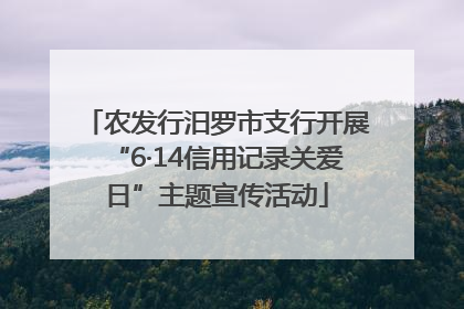 农发行汨罗市支行开展“6·14信用记录关爱日”主题宣传活动