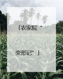 农家院“变形记”