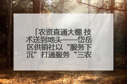 农资直通大棚 技术送到地头——岱岳区供销社以“服务下沉”打通服务“三农”最后一公里