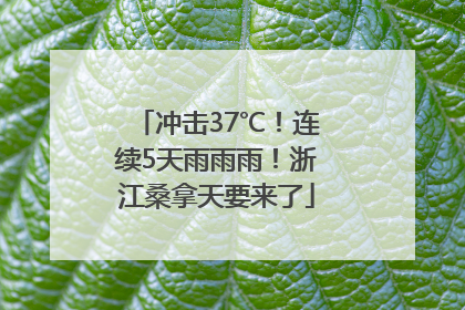 冲击37℃！连续5天雨雨雨！浙江桑拿天要来了