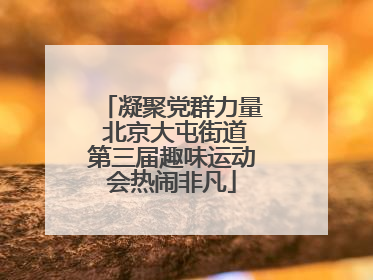凝聚党群力量 北京大屯街道第三届趣味运动会热闹非凡