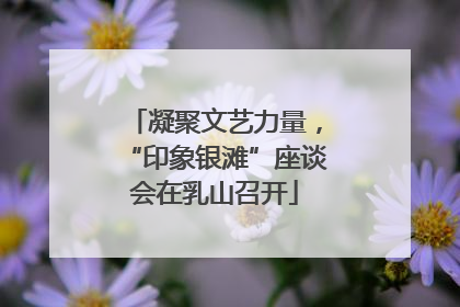 凝聚文艺力量，“印象银滩”座谈会在乳山召开