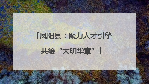 凤阳县：聚力人才引擎 共绘“大明华章”