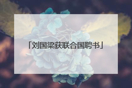 刘国梁获联合国聘书
