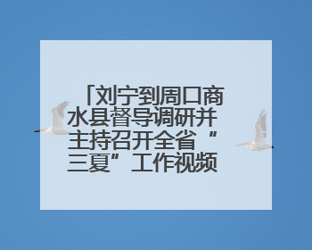 刘宁到周口商水县督导调研并主持召开全省“三夏”工作视频调度会