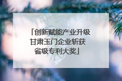 创新赋能产业升级 甘肃玉门企业斩获省级专利大奖