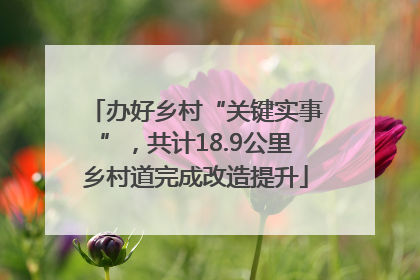 办好乡村“关键实事”，共计18.9公里乡村道完成改造提升