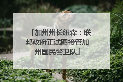 加州州长纽森：联邦政府正试图接管加州国民警卫队