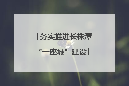 务实推进长株潭“一座城”建设