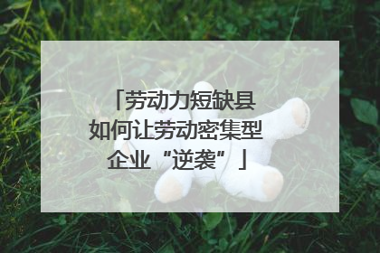 劳动力短缺县 如何让劳动密集型企业“逆袭”