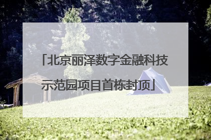 北京丽泽数字金融科技示范园项目首栋封顶