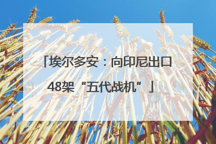 埃尔多安：向印尼出口48架“五代战机”