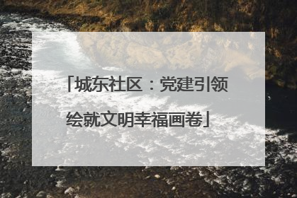 城东社区：党建引领绘就文明幸福画卷