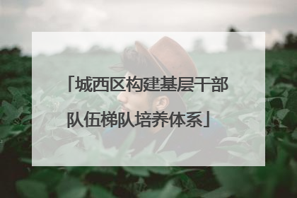 城西区构建基层干部队伍梯队培养体系