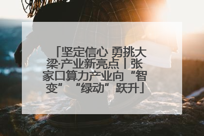 坚定信心 勇挑大梁·产业新亮点丨张家口算力产业向“智变”“绿动”跃升