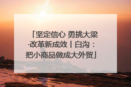坚定信心 勇挑大梁·改革新成效丨白沟：把小商品做成大外贸