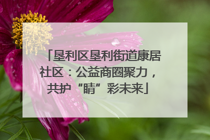垦利区垦利街道康居社区：公益商圈聚力，共护“睛”彩未来
