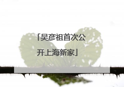吴彦祖首次公开上海新家