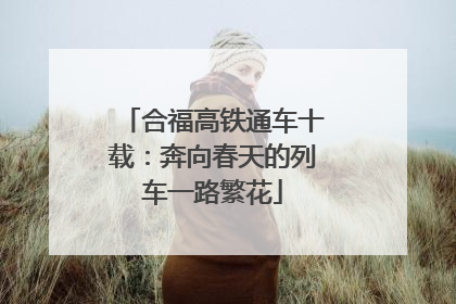 合福高铁通车十载：奔向春天的列车一路繁花
