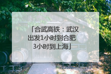 合武高铁：武汉出发1小时到合肥3小时到上海