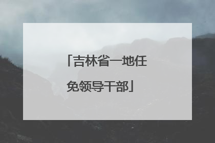 吉林省一地任免领导干部