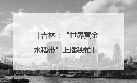 吉林：“世界黄金水稻带”上插秧忙