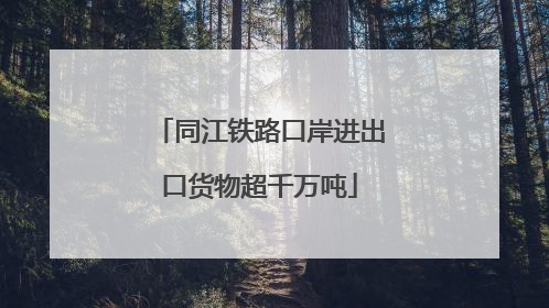同江铁路口岸进出口货物超千万吨