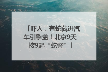 吓人，有蛇藏进汽车引擎盖！北京9天接9起“蛇警”