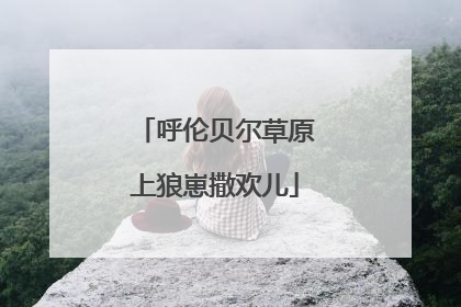 呼伦贝尔草原上狼崽撒欢儿
