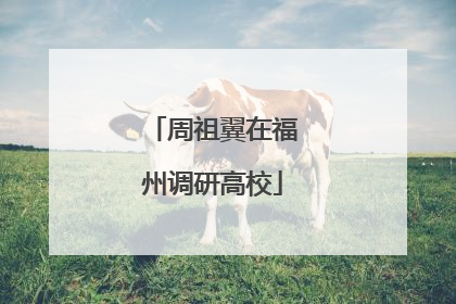 周祖翼在福州调研高校