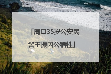 周口35岁公安民警王振因公牺牲