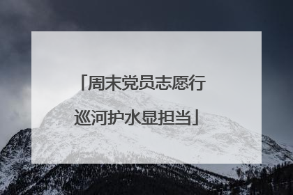 周末党员志愿行 巡河护水显担当