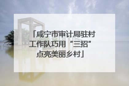 咸宁市审计局驻村工作队巧用“三招”点亮美丽乡村