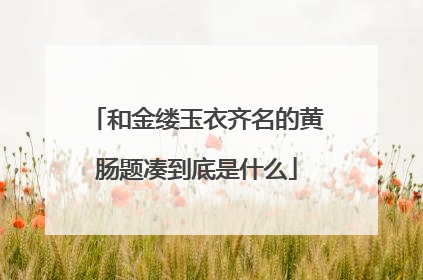 和金缕玉衣齐名的黄肠题凑到底是什么