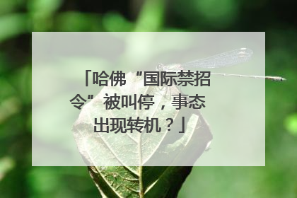 哈佛“国际禁招令”被叫停，事态出现转机？
