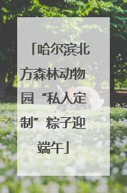 哈尔滨北方森林动物园“私人定制”粽子迎端午