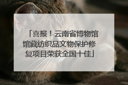 喜报！云南省博物馆馆藏纺织品文物保护修复项目荣获全国十佳
