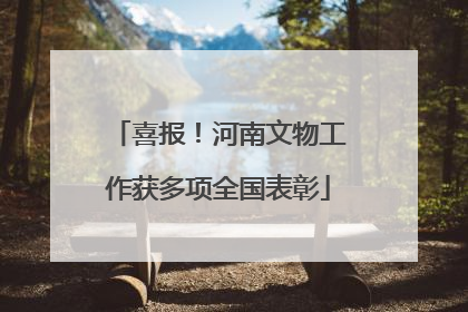 喜报！河南文物工作获多项全国表彰