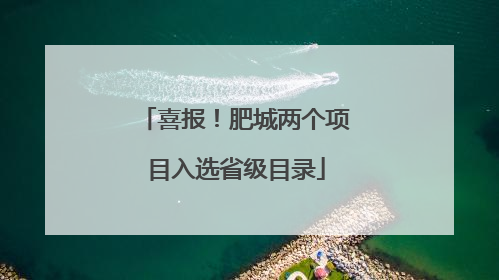 喜报！肥城两个项目入选省级目录