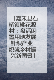 嘉禾县石桥镇桃花源村：盘活闲置用地发展针织产业 织就乡村振兴新图景