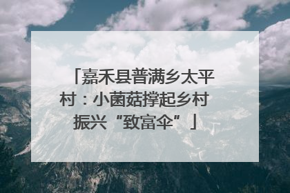 嘉禾县普满乡太平村：小菌菇撑起乡村振兴“致富伞”