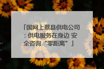国网上蔡县供电公司：供电服务在身边 安全咨询“零距离”