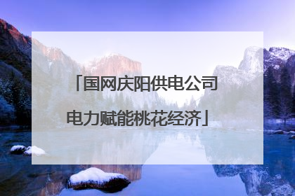 国网庆阳供电公司电力赋能桃花经济
